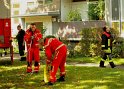 Einsatz BF Koeln Hoehenretter Koeln Stammheim Georg Beyerstr P108